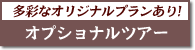 バリ島 オプショナルツアー