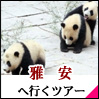 雅安 ツアー
