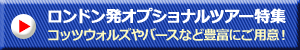 STWおすすめのロンドン発オプショナルツアー