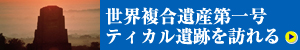 世界遺産ティカル