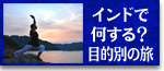 インド 目的別の旅行