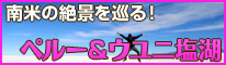 ウユニツアー