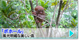 フィリピン ボホール