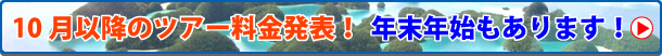 10月以降ツアー 年末年始