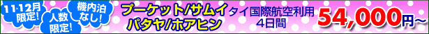 11・12月限定タイビーチ69000円