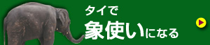 タイで象使いになる