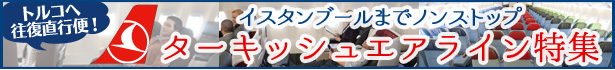トルコ航空特集
