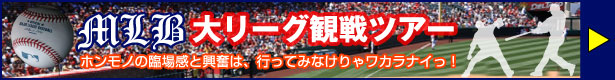 MLBツアー