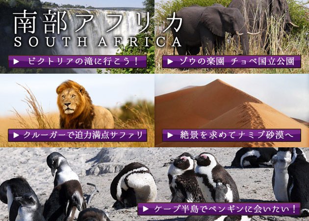 南アフリカ共和国 イメージ