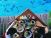 ボラボラ島　料理