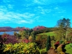 イギリスの湖水地方<br />ウィンダミアの風景
