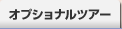 オプショナルツアー