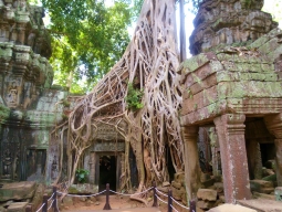 カンボジアイメージ3