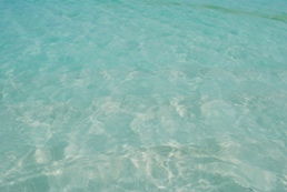 【写真左】目の前の海は透明度抜群