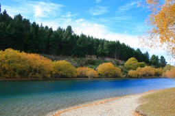 秋彩ものがたり 4 5月は黄葉 ニュージーランド旅行記 Stw