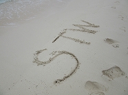 【写真中央】砂浜に描いてみた社名「ＳＴＷ」　