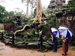 雨季でも大満喫♪カンボジアの楽しみ方