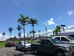 ハワイ島で何して遊ぶ？