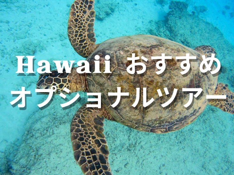 Hawaiiおすすめオプショナルツアー