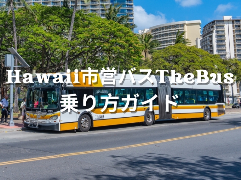 Hawaii市営バスTheBus 乗り方ガイド