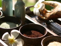 Quan Spa Ingredients