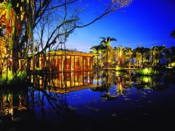 Ficusレストラン