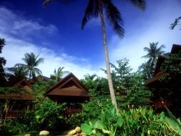 ノラオーシャンビラ