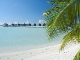 水上ヴィラ 外観