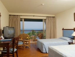 デラックスルーム