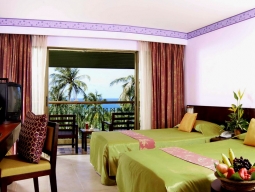 デラックスニューウィング