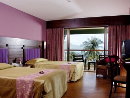 デラックスニューウィング