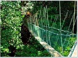 オプショナルツアーイメージ