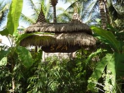 スパも敷地内にあります