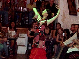 迫力のフラメンコ【ラ・ロシオ】ショー