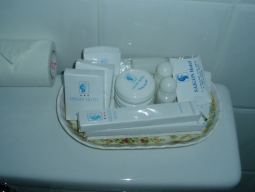 アメニティも一通りあります