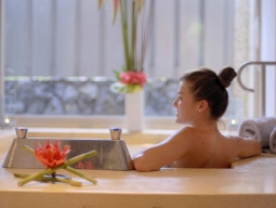 インディゴスパ