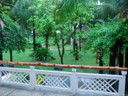 ガーデンビューの景観