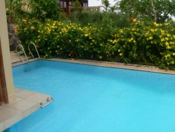 プールヴィラのプール