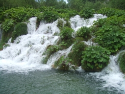 ミルカ・トルニナ滝