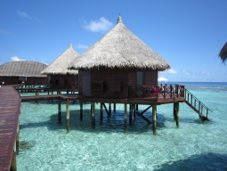 水上バンガロー　外観　イメージ