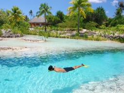 シュノーケリング