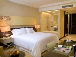 デラックスオーシャンビュー