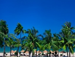 プライベートビーチ