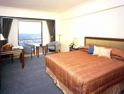 デラックスリバービュー