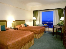 デラックスシティビュー