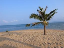 岬の先端のビーチ