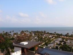 ビーチサイドのウィング