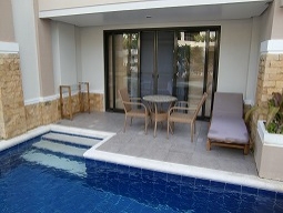 プレミアアクセス