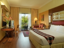 客室　デラックスプレミアム