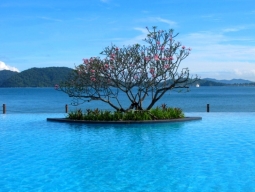 プール